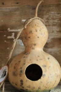 Dried Birdhouse Gourd with Holes
